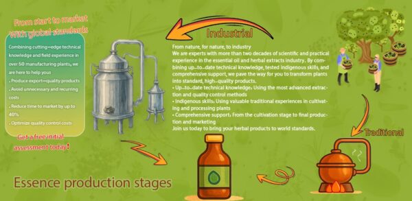 Steps in essential oil production